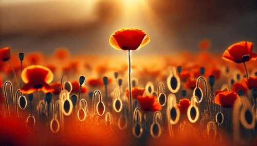 Breaking Free from Tall Poppy Syndrome: Empowering Gifted Minds
