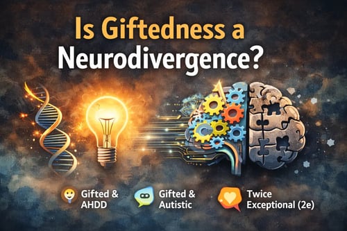 Is Giftedness Neurodivergent? Understanding the 2e Paradox